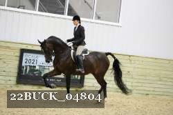 22BUCK_04804 proof