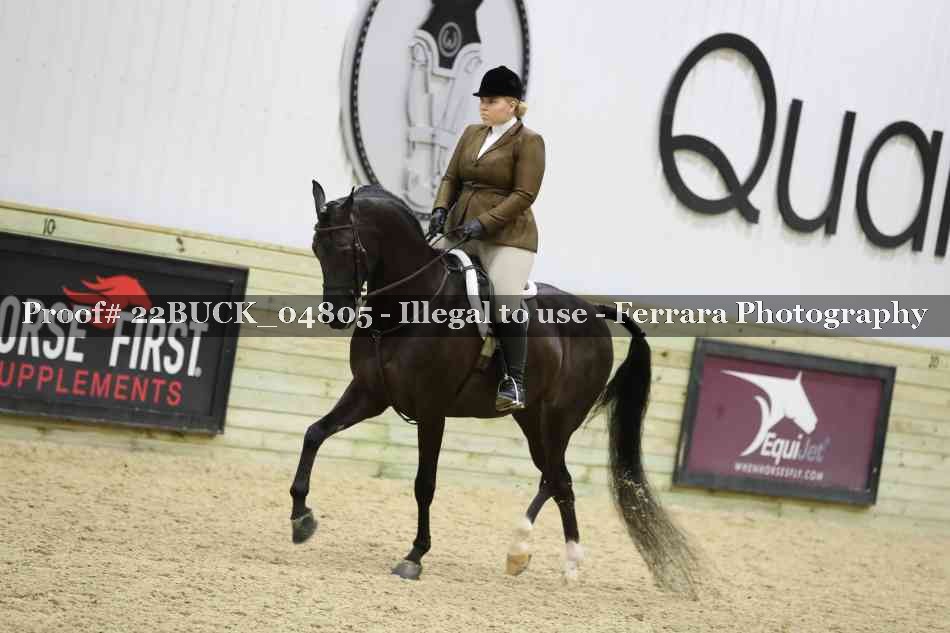 Proof 22BUCK_04805