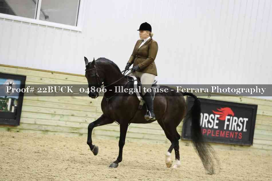 Proof 22BUCK_04806