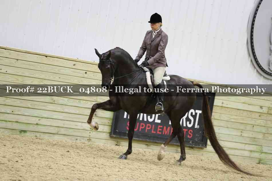 Proof 22BUCK_04808