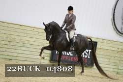 22BUCK_04808 proof