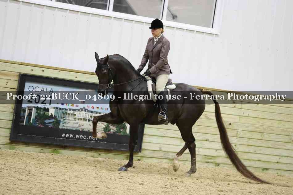 Proof 22BUCK_04809