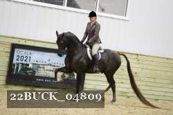 22BUCK_04809 proof