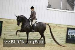 22BUCK_04810 proof