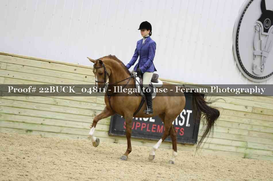 Proof 22BUCK_04811