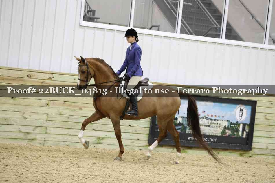 Proof 22BUCK_04813