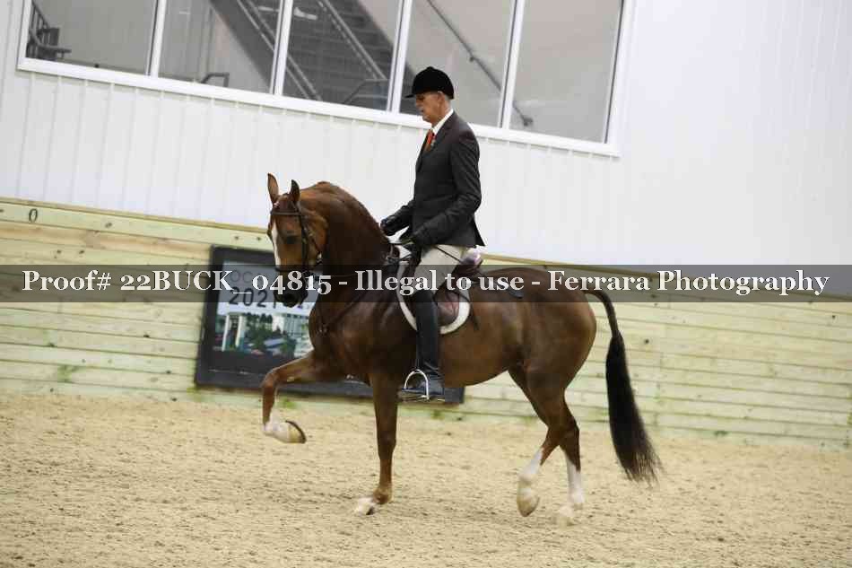 Proof 22BUCK_04815