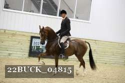 22BUCK_04815 proof