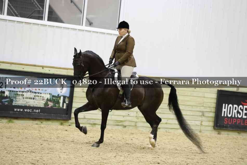 Proof 22BUCK_04820