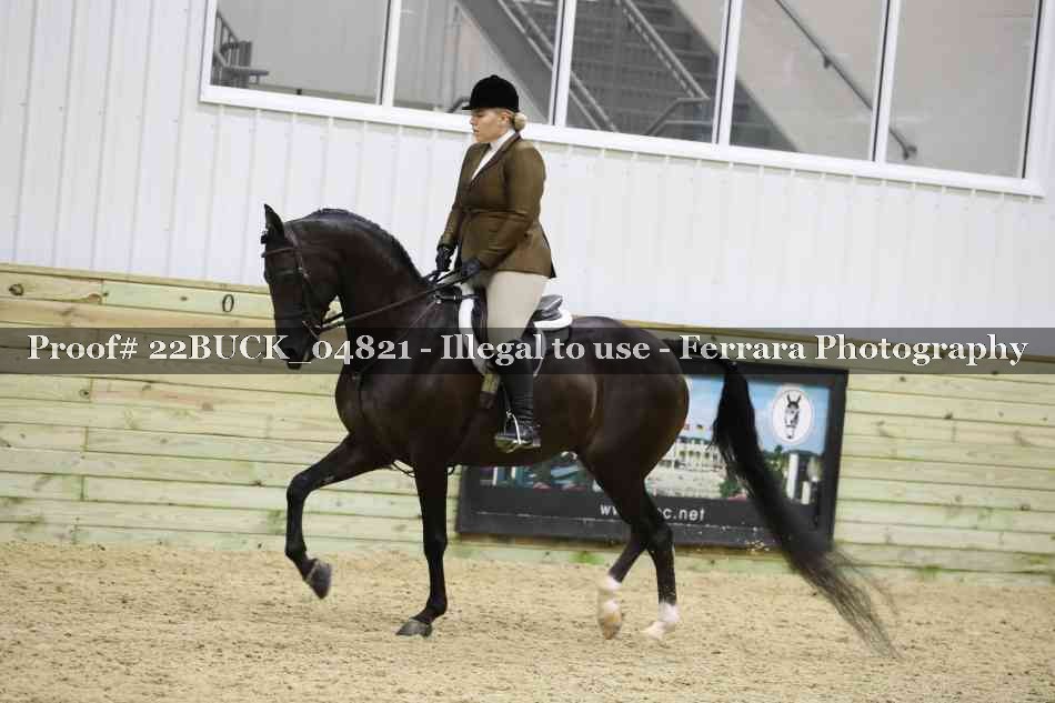 Proof 22BUCK_04821