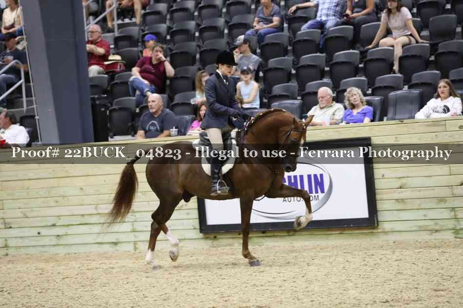 Proof 22BUCK_04823