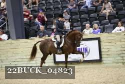 22BUCK_04823 proof