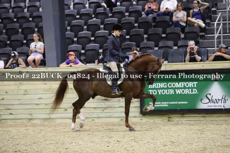 Proof 22BUCK_04824