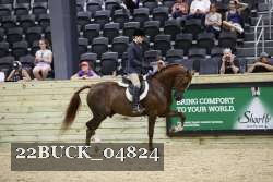 22BUCK_04824 proof