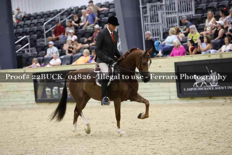 Proof 22BUCK_04826