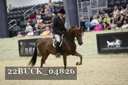 22BUCK_04826 proof