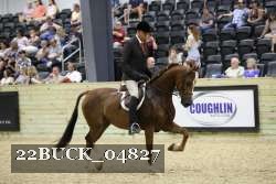 22BUCK_04827 proof