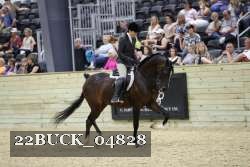 22BUCK_04828 proof