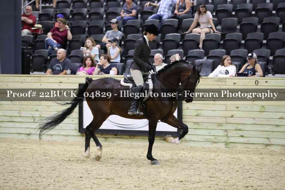 Proof 22BUCK_04829