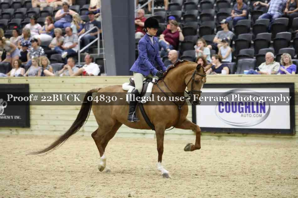 Proof 22BUCK_04830