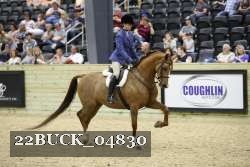 22BUCK_04830 proof