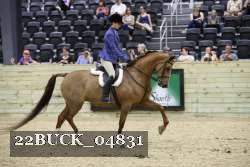 22BUCK_04831 proof