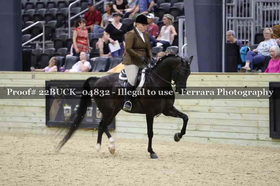 Proof 22BUCK_04832