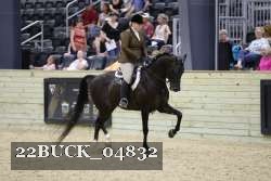 22BUCK_04832 proof