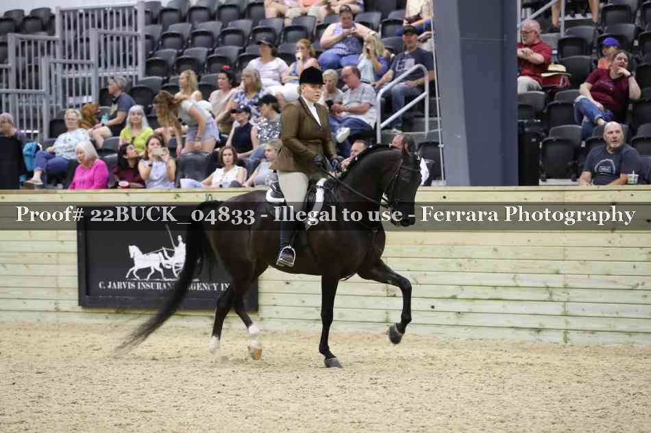 Proof 22BUCK_04833