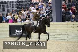 22BUCK_04833 proof