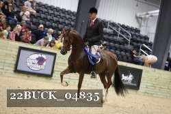 22BUCK_04835 proof