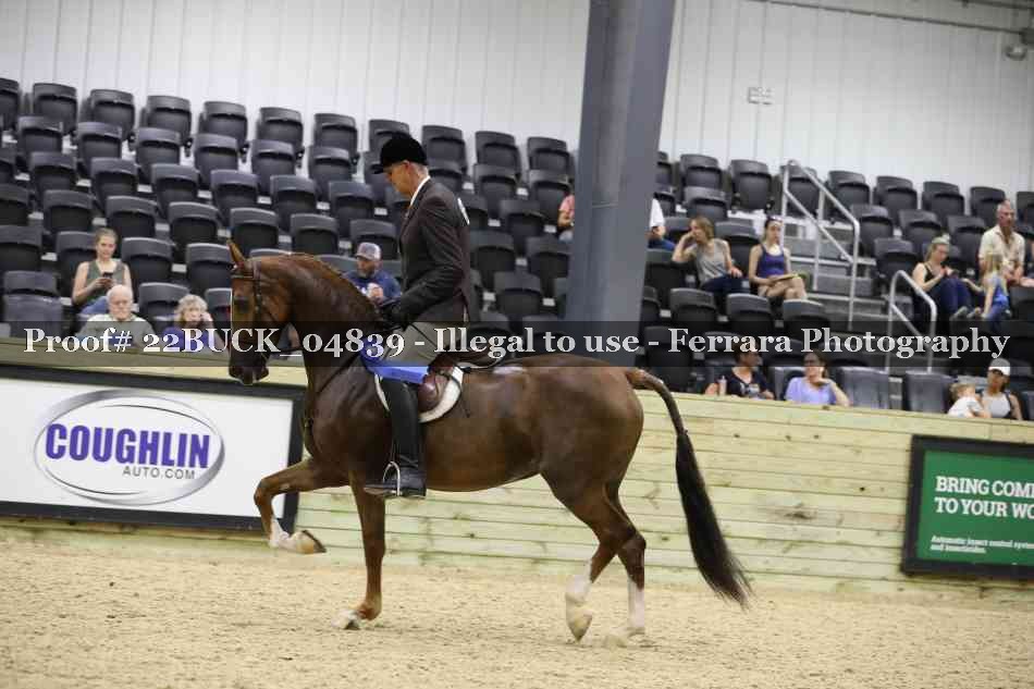 Proof 22BUCK_04839