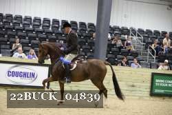 22BUCK_04839 proof