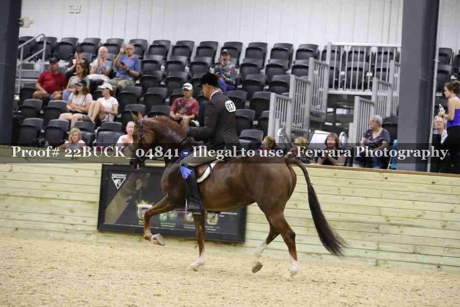 Proof 22BUCK_04841