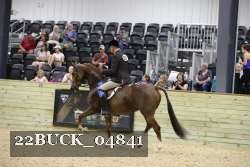 22BUCK_04841 proof