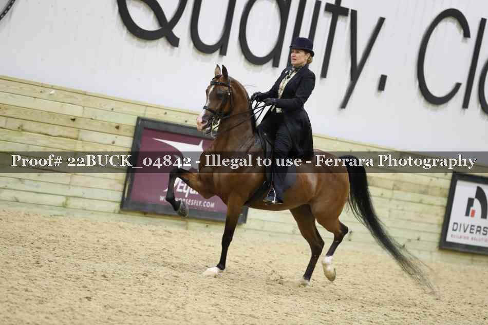 Proof 22BUCK_04842
