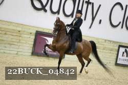 22BUCK_04842 proof