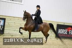 22BUCK_04843 proof