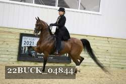 22BUCK_04844 proof