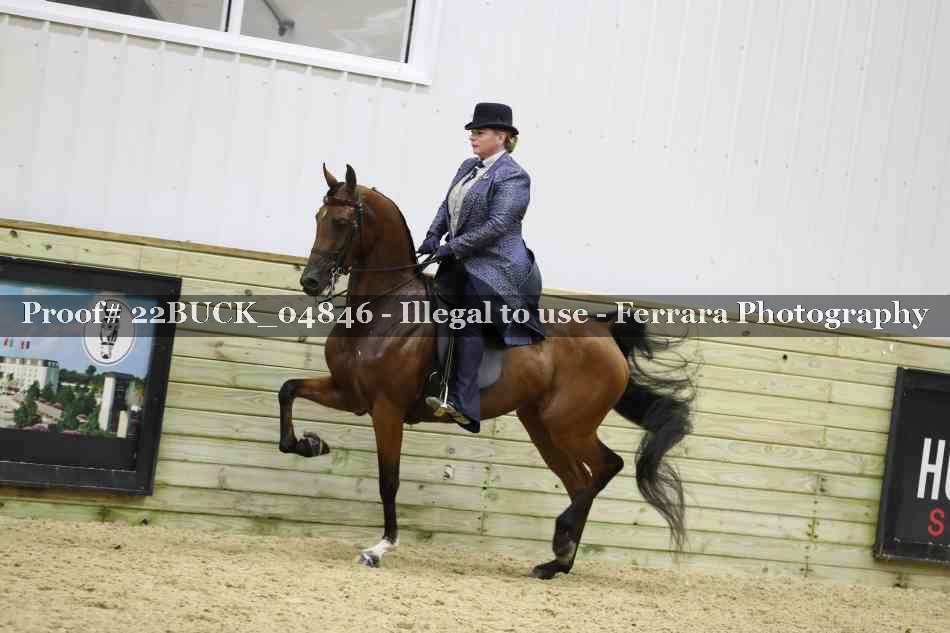Proof 22BUCK_04846