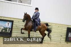 22BUCK_04846 proof