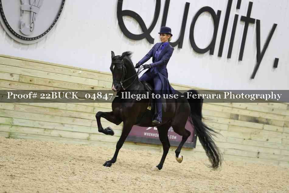 Proof 22BUCK_04847