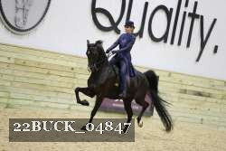 22BUCK_04847 proof