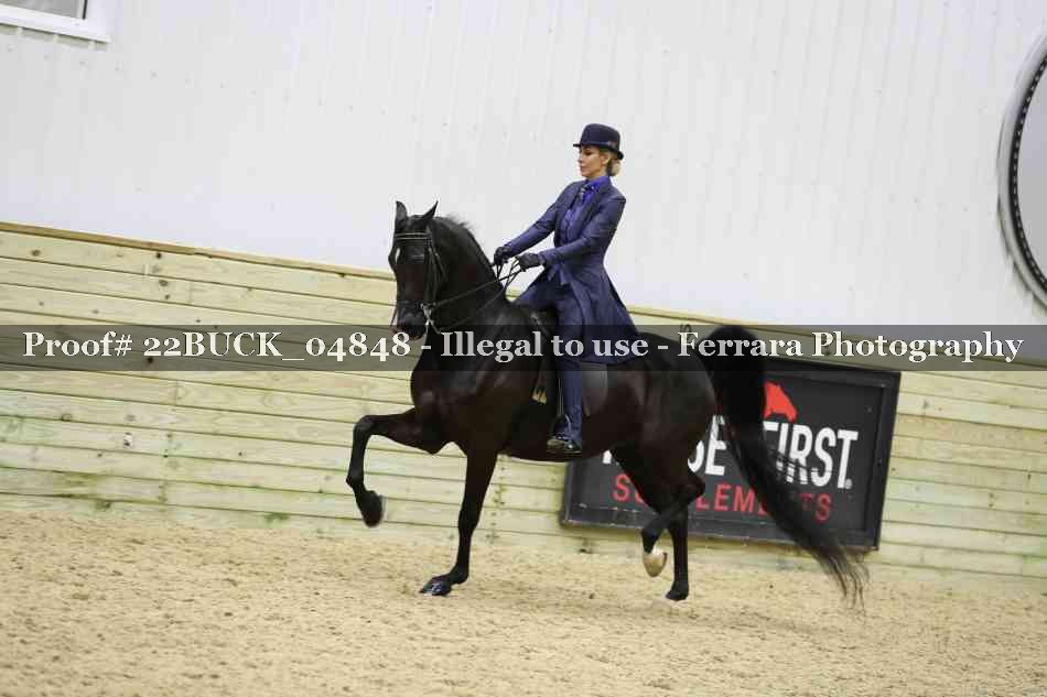 Proof 22BUCK_04848