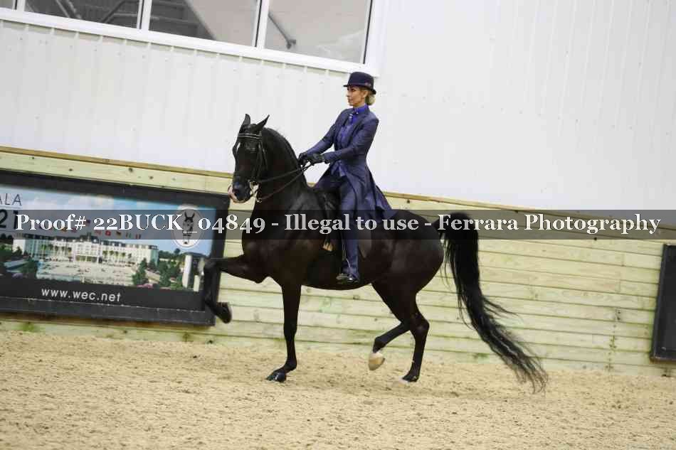 Proof 22BUCK_04849