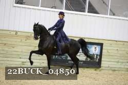 22BUCK_04850 proof