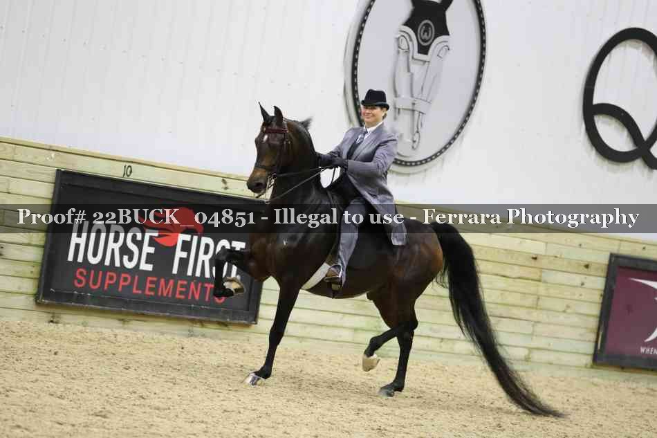 Proof 22BUCK_04851