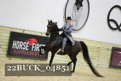 22BUCK_04851 proof