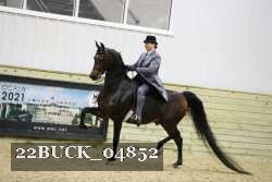 22BUCK_04852 proof