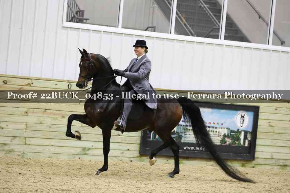 Proof 22BUCK_04853